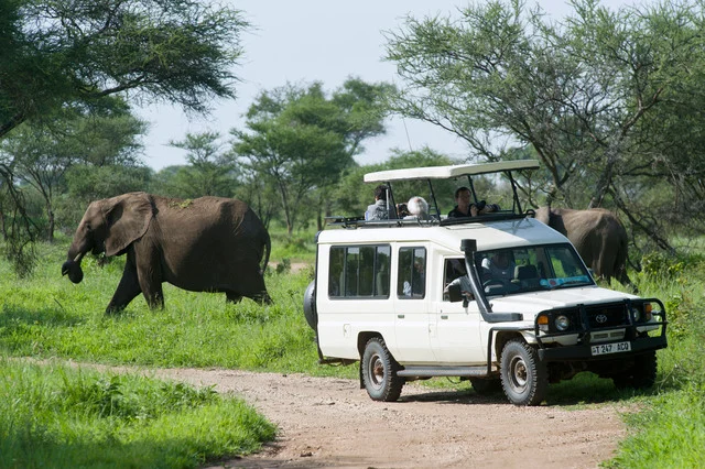 Tarangire National Park-Day Tour